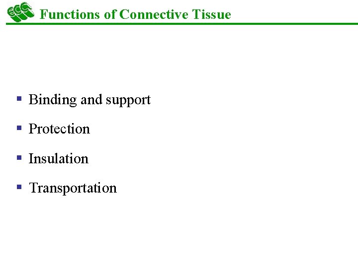 Functions of Connective Tissue § Binding and support § Protection § Insulation § Transportation