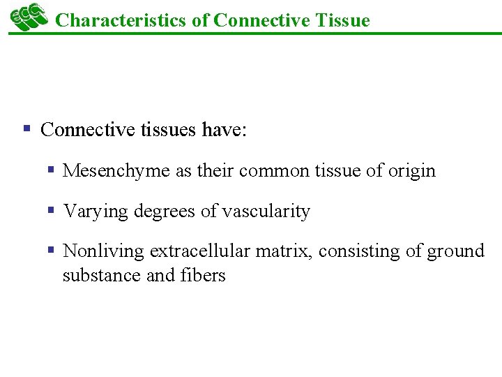 Characteristics of Connective Tissue § Connective tissues have: § Mesenchyme as their common tissue