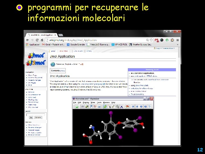 programmi per recuperare le informazioni molecolari 12 