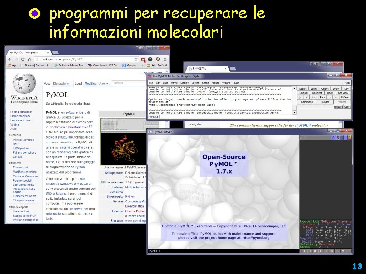 programmi per recuperare le informazioni molecolari 13 