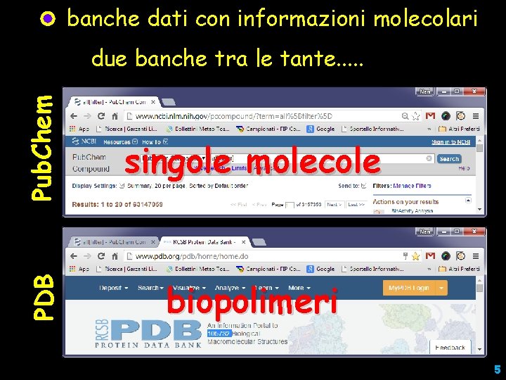 PDB Pub. Chem banche dati con informazioni molecolari programmi pertra recuperare le due banche