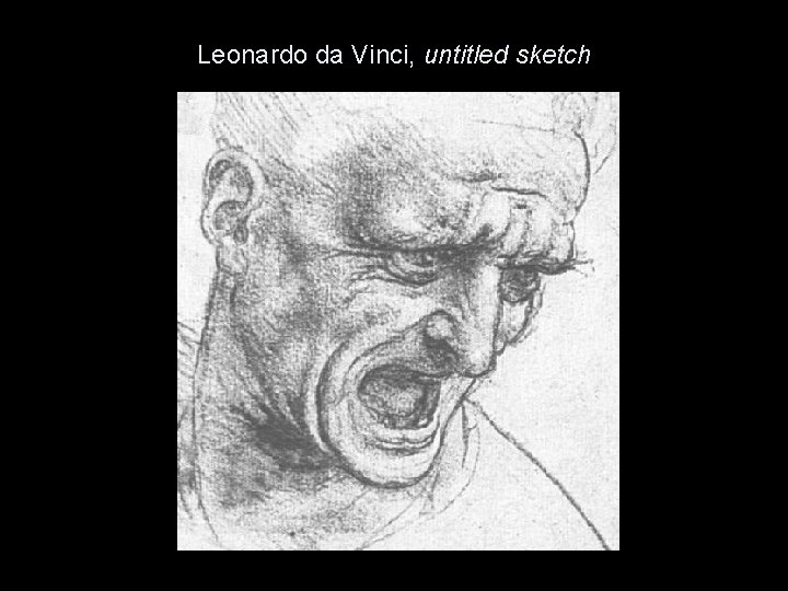 Leonardo da Vinci, untitled sketch 
