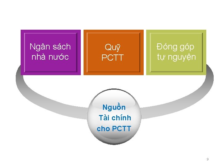 Ngân sách nhà nước Quỹ PCTT Đóng góp tự nguyện Nguồn Tài chính cho