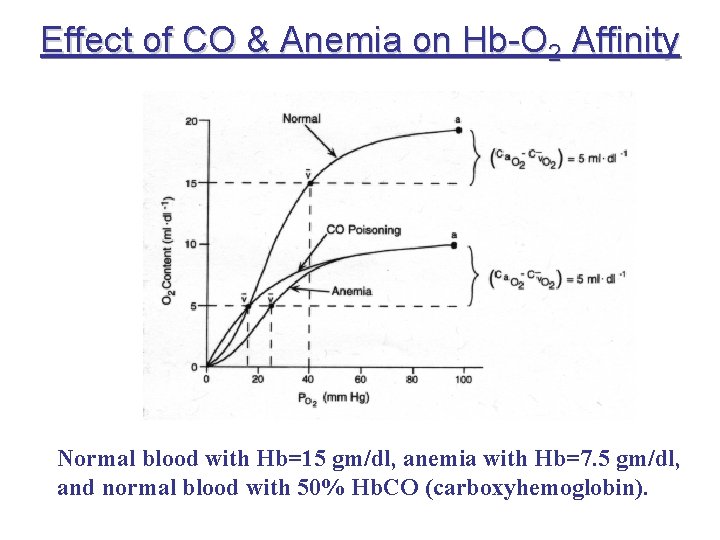 Effect of CO & Anemia on Hb-O 2 Affinity Normal blood with Hb=15 gm/dl,
