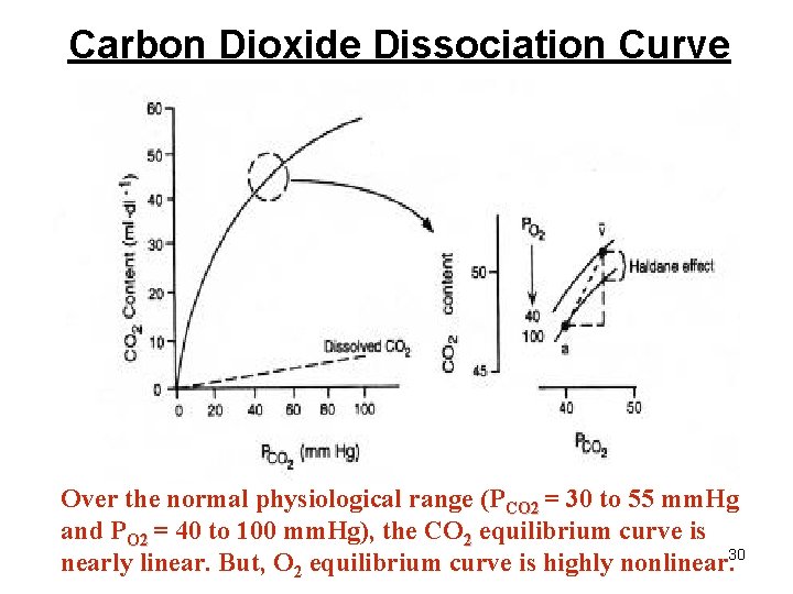Carbon Dioxide Dissociation Curve Over the normal physiological range (PCO 2 = 30 to