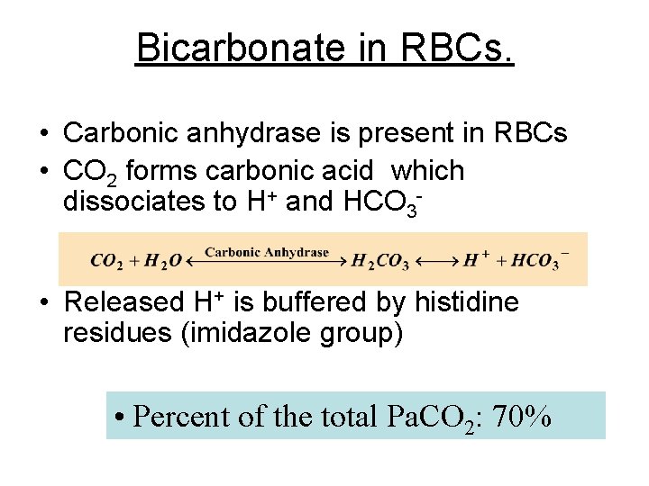 Bicarbonate in RBCs. • Carbonic anhydrase is present in RBCs • CO 2 forms