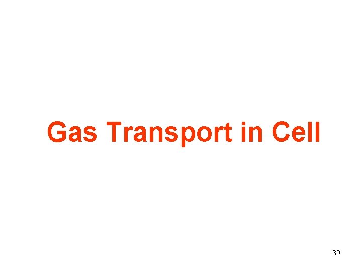 Gas Transport in Cell 39 