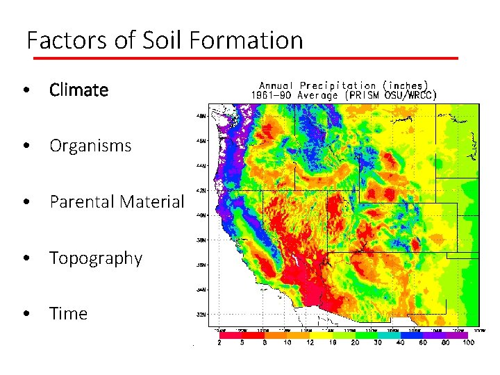 Factors of Soil Formation • Climate • Organisms • Parental Material • Topography •