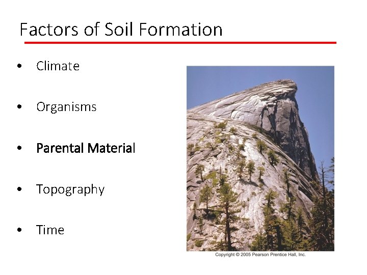 Factors of Soil Formation • Climate • Organisms • Parental Material • Topography •