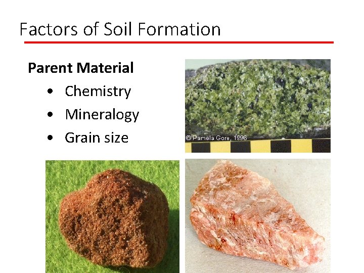 Factors of Soil Formation Parent Material • Chemistry • Mineralogy • Grain size 