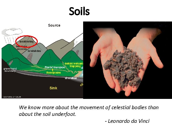 Soils We know more about the movement of celestial bodies than about the soil