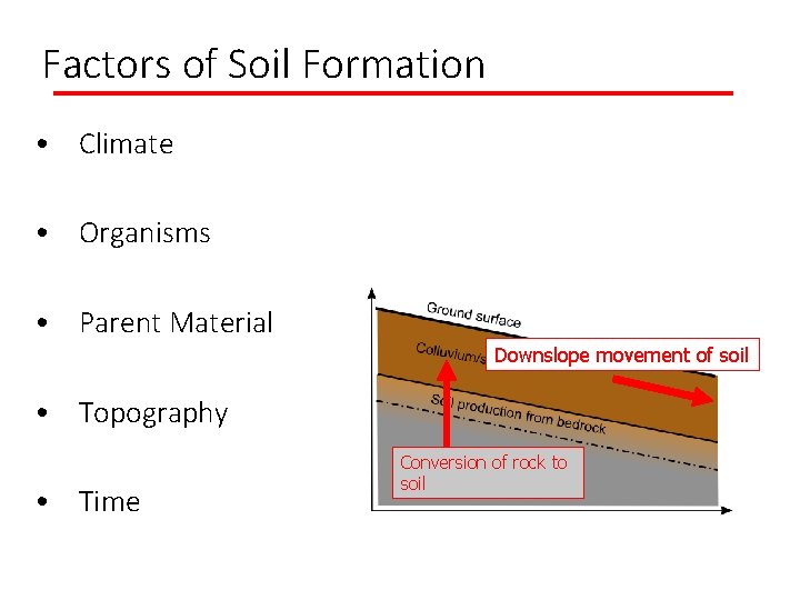 Factors of Soil Formation • Climate • Organisms • Parent Material Downslope movement of