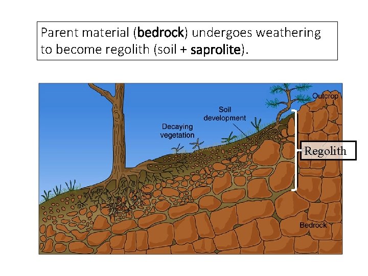 Parent material (bedrock) undergoes weathering to become regolith (soil + saprolite). Regolith 