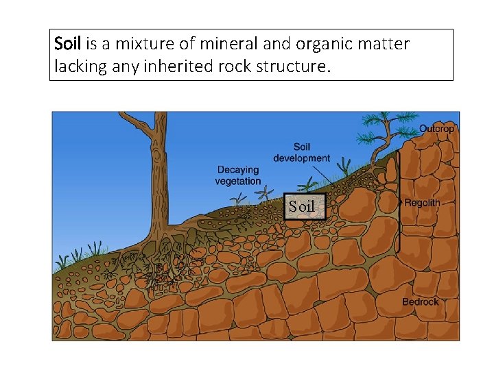 Soil is a mixture of mineral and organic matter lacking any inherited rock structure.