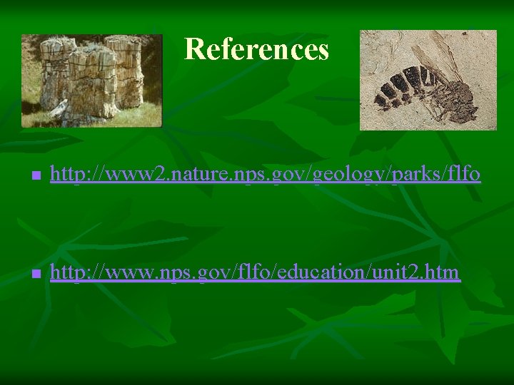 References n http: //www 2. nature. nps. gov/geology/parks/flfo n http: //www. nps. gov/flfo/education/unit 2.