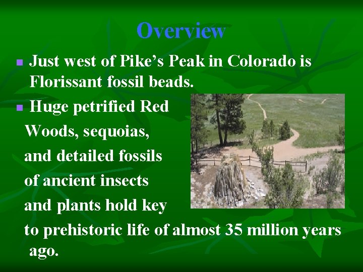 Overview Just west of Pike’s Peak in Colorado is Florissant fossil beads. n Huge