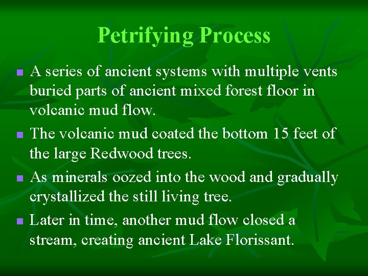 Petrifying Process n n A series of ancient systems with multiple vents buried parts