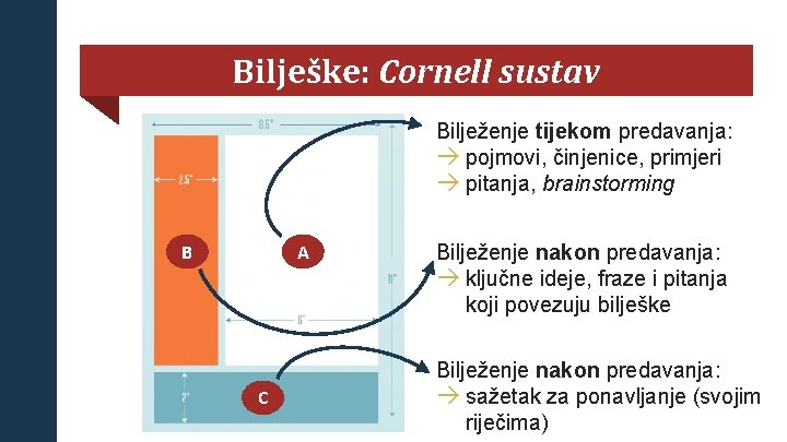 Bilješke: Cornell sustav Bilježenje tijekom predavanja: à pojmovi, činjenice, primjeri à pitanja, brainstorming A