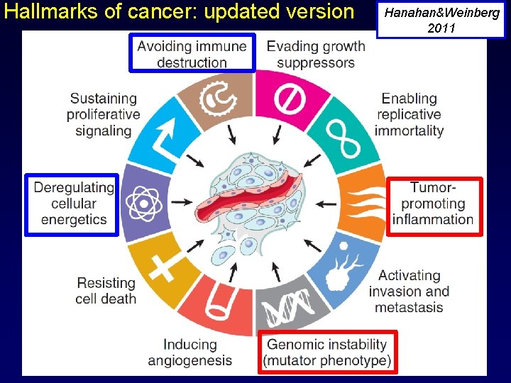 Hallmarks of cancer: updated version Hanahan&Weinberg 2011 