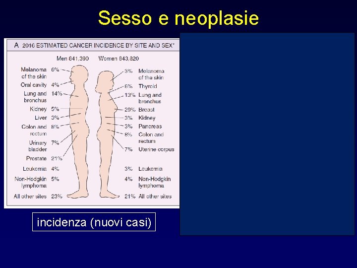 Sesso e neoplasie incidenza (nuovi casi) mortalità 
