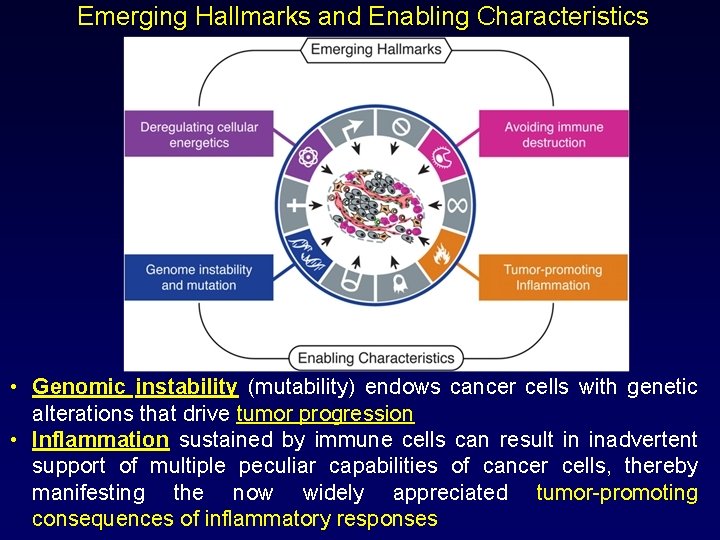 Emerging Hallmarks and Enabling Characteristics • Genomic instability (mutability) endows cancer cells with genetic