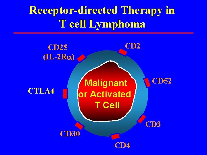 Receptor-directed Therapy in T cell Lymphoma CD 25 (IL-2 Ra CTLA 4 Malignant or