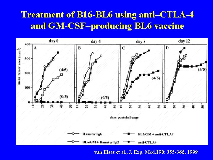 Treatment of B 16 -BL 6 using anti–CTLA-4 and GM-CSF–producing BL 6 vaccine van