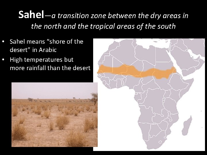 Sahel—a transition zone between the dry areas in the north and the tropical areas
