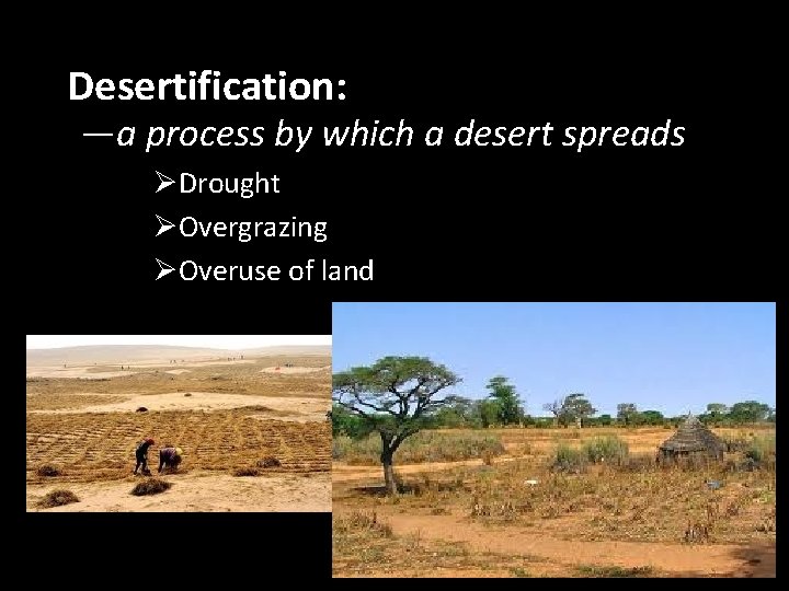 Desertification: —a process by which a desert spreads ØDrought ØOvergrazing ØOveruse of land 