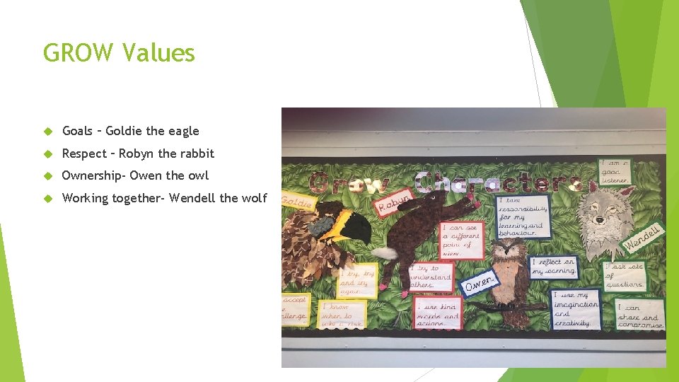 GROW Values Goals – Goldie the eagle Respect – Robyn the rabbit Ownership- Owen
