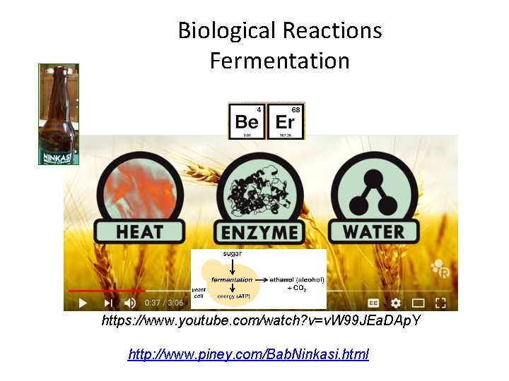 Biological Reactions Fermentation https: //www. youtube. com/watch? v=v. W 99 JEa. DAp. Y http: