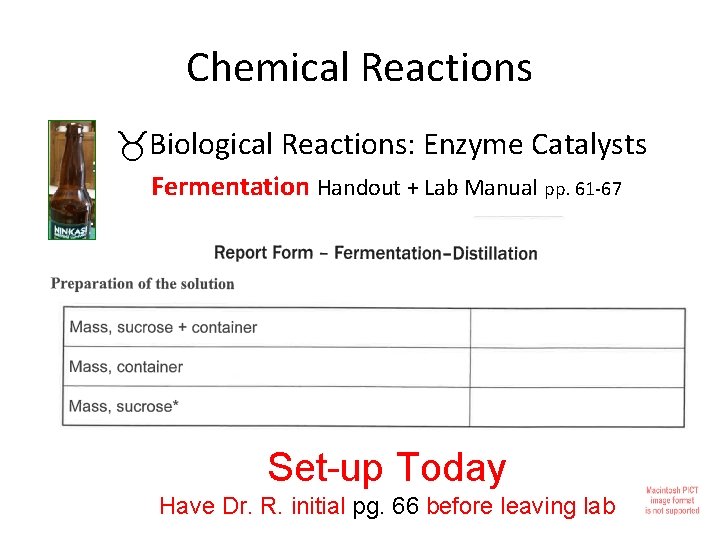 Chemical Reactions Biological Reactions: Enzyme Catalysts Fermentation Handout + Lab Manual pp. 61 -67