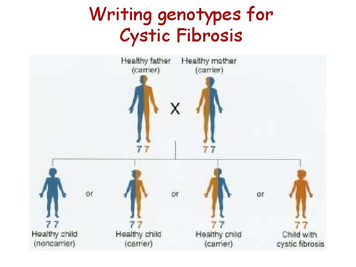 Writing genotypes for Cystic Fibrosis 