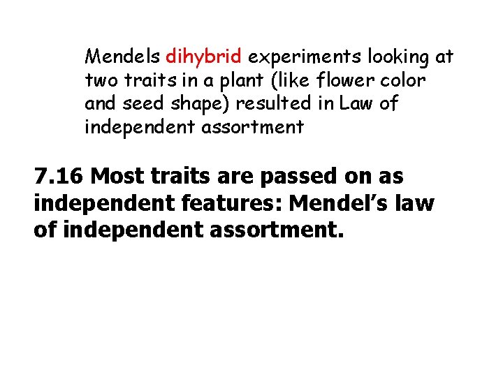 Mendels dihybrid experiments looking at two traits in a plant (like flower color and