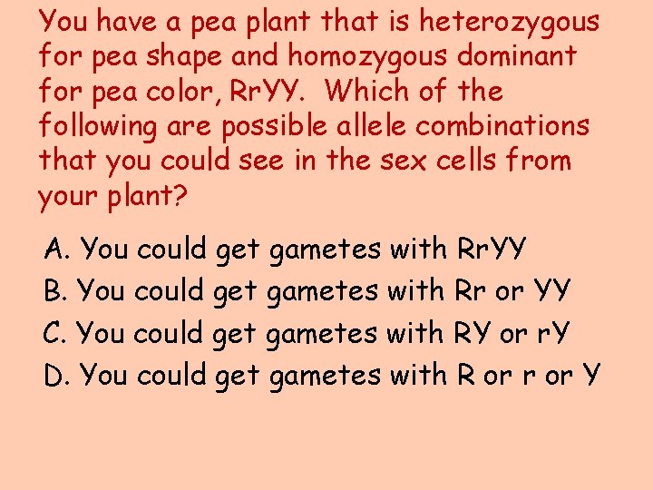 You have a pea plant that is heterozygous for pea shape and homozygous dominant