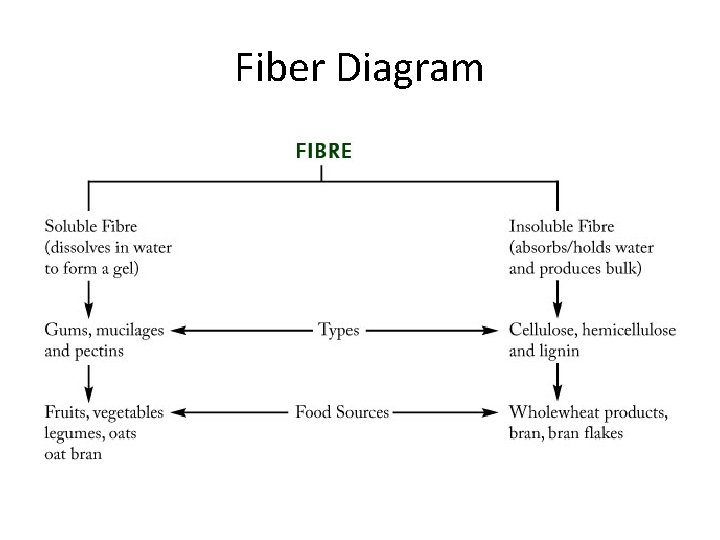 Fiber Diagram 