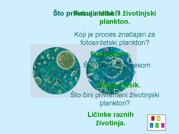 Što prikazuju Fotosintetski slike ? i životinjski plankton. Koji je proces značajan za fotosintetski