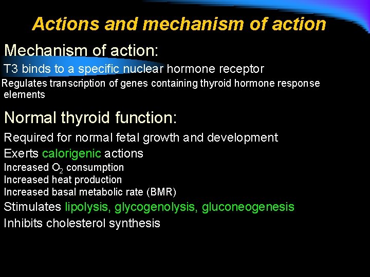 Actions and mechanism of action Mechanism of action: T 3 binds to a specific