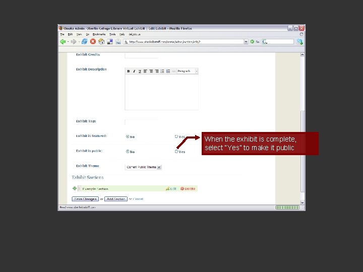 When the exhibit is complete, select “Yes” to make it public 