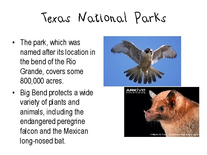Texas National Parks • The park, which was named after its location in the