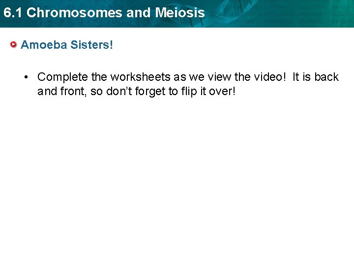 6. 1 Chromosomes and Meiosis Amoeba Sisters! • Complete the worksheets as we view