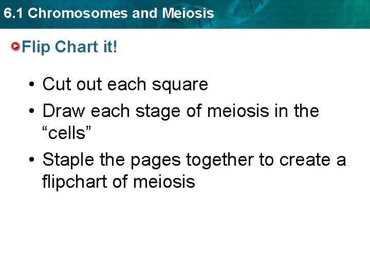 6. 1 Chromosomes and Meiosis Flip Chart it! • Cut out each square •