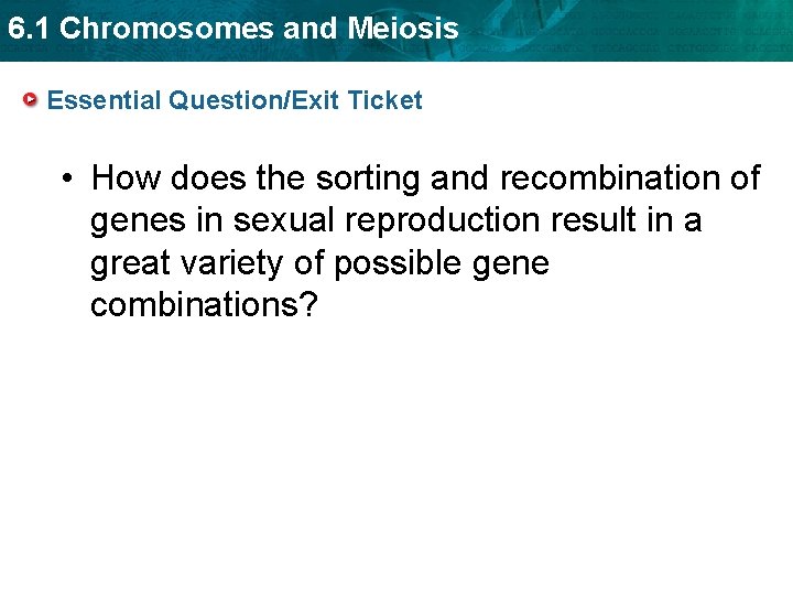 6. 1 Chromosomes and Meiosis Essential Question/Exit Ticket • How does the sorting and