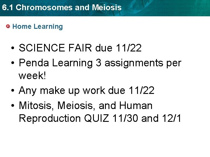 6. 1 Chromosomes and Meiosis Home Learning • SCIENCE FAIR due 11/22 • Penda