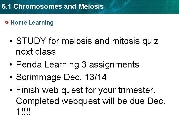 6. 1 Chromosomes and Meiosis Home Learning • STUDY for meiosis and mitosis quiz