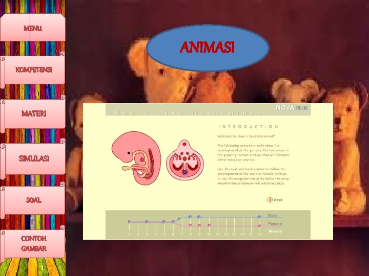 MENU ANIMASI KOMPETENSI MATERI SIMULASI SOAL CONTOH GAMBAR 