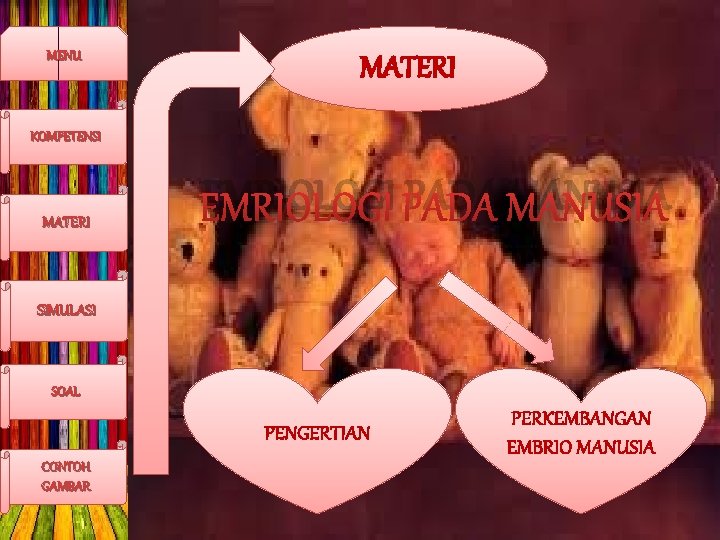 MENU MATERI KOMPETENSI MATERI EMRIOLOGI PADA MANUSIA SIMULASI SOAL PENGERTIAN CONTOH GAMBAR PERKEMBANGAN EMBRIO