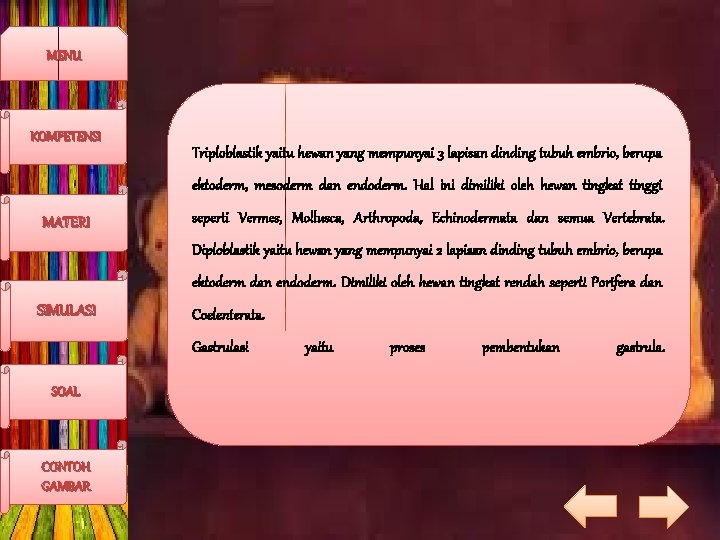 MENU KOMPETENSI Triploblastik yaitu hewan yang mempunyai 3 lapisan dinding tubuh embrio, berupa ektoderm,