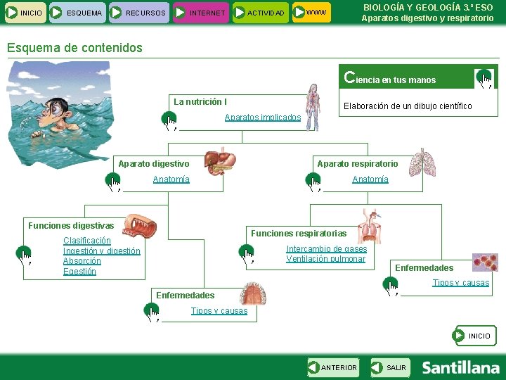 INICIO ESQUEMA RECURSOS INTERNET BIOLOGÍA Y GEOLOGÍA 3. º ESO Aparatos digestivo y respiratorio