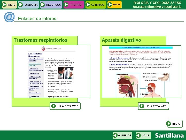 INICIO ESQUEMA RECURSOS INTERNET ACTIVIDAD WWW BIOLOGÍA Y GEOLOGÍA 3. º ESO Aparatos digestivo